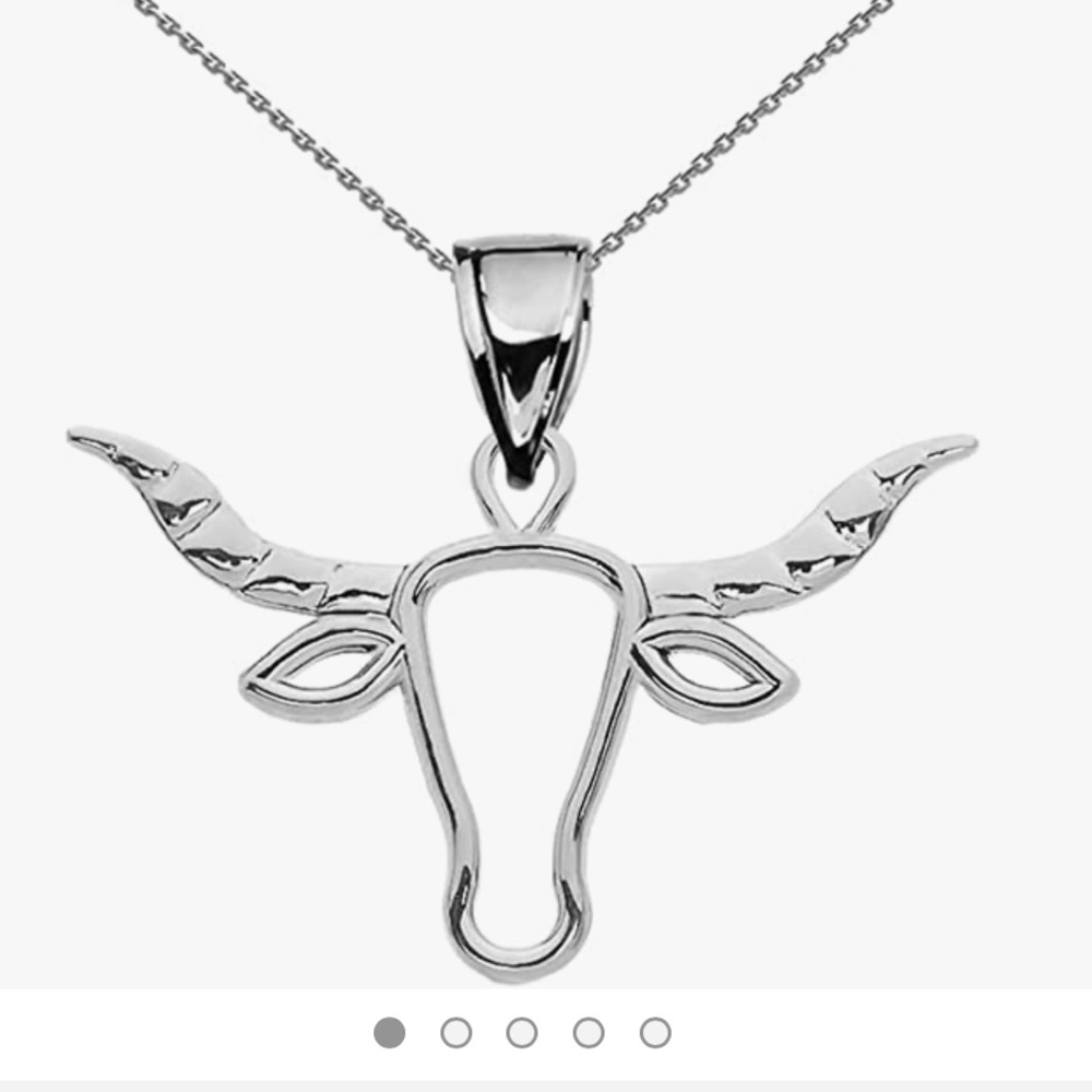 NWOT Sterling Silver Astrology /  Texas Longhorn Bull Necklace